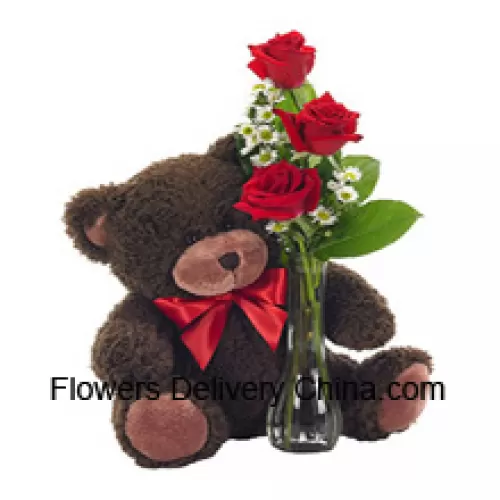 3 rote Rosen mit etwas Farn in einer Glasvase zusammen mit einem niedlichen 14 Zoll großen Teddybär