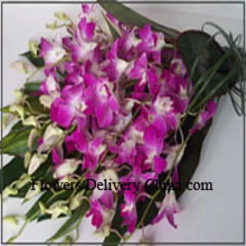 Bunch Of Orchids With Seasonal Fillers